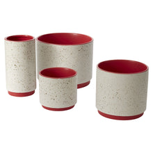 Load image into Gallery viewer, Christmas Poinsettia in Leavenworth Ceramic Pot