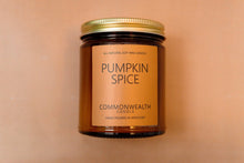 Load image into Gallery viewer, Pumpkin Spice