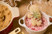 Load image into Gallery viewer, Ginger Snap Air Plant Ornament