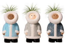 Load image into Gallery viewer, Arctic Blast