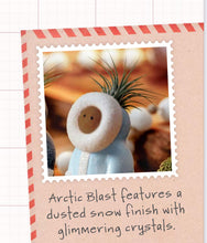 Load image into Gallery viewer, Arctic Blast