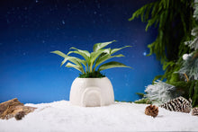 Load image into Gallery viewer, Ice Castle