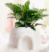 Load image into Gallery viewer, Ice Castle