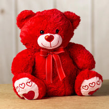 Load image into Gallery viewer, 14.5&quot; Bright and Colorful V-Day Bear
