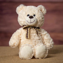 Load image into Gallery viewer, 13&quot; Country Bear Cuddle Bear
