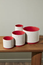 Load image into Gallery viewer, Christmas Poinsettia in Leavenworth Ceramic Pot
