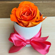 Load image into Gallery viewer, Single Forever Rose
