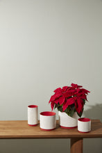 Load image into Gallery viewer, Christmas Poinsettia in Leavenworth Ceramic Pot
