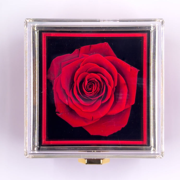 Rotating Jewelry Box with Heart Necklace and Preserved Rose