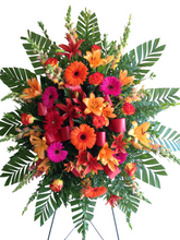 Load image into Gallery viewer, SS3
