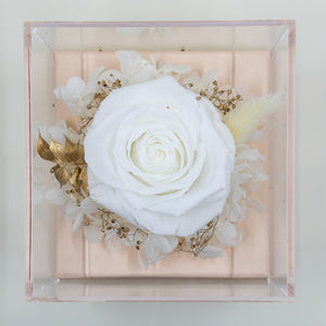 Preserved Rose Jewelry Box