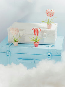 Cloud Nine