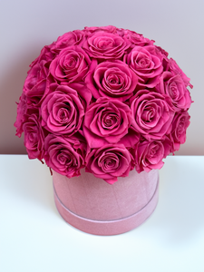 Forever Roses