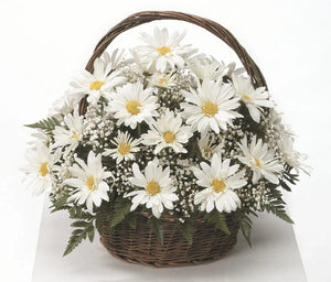 Daisy Basket CTT4-21
