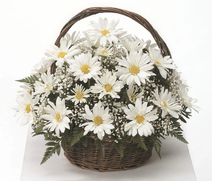 Daisy Basket CTT4-21