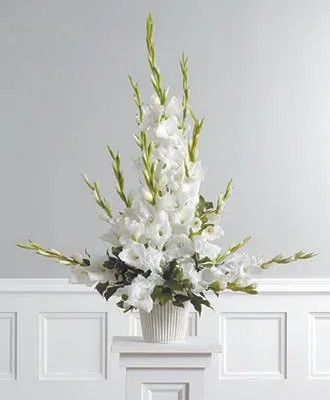 Gladiolus Pedestal Arrangement CTT5-11