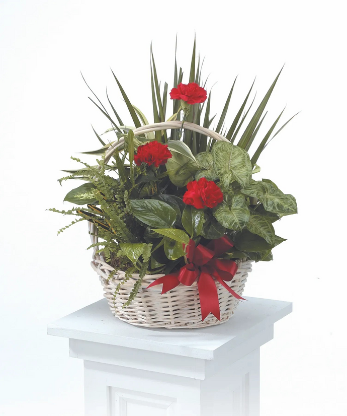 Dish Garden Basket CTT30-11