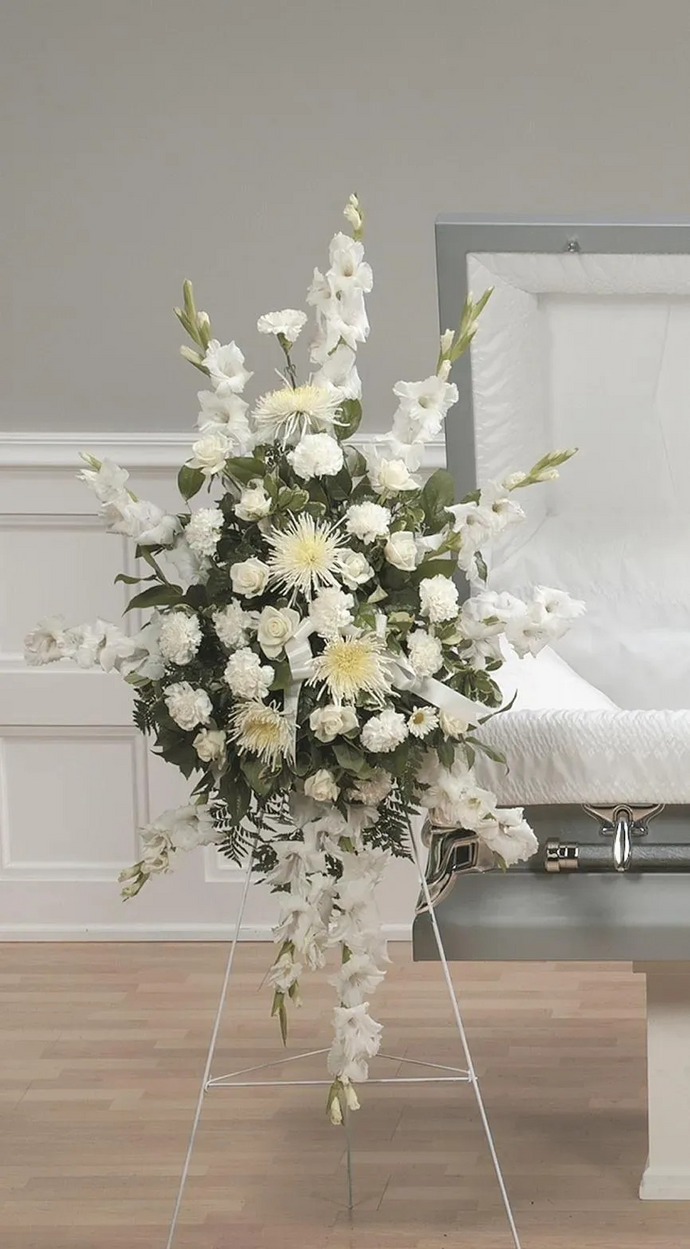 White Fuji Mum CTT6-11