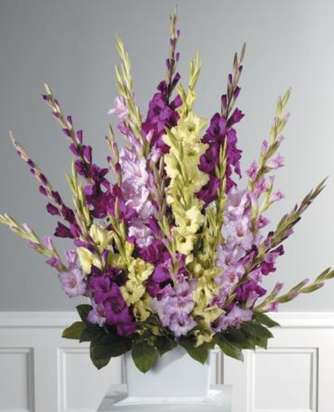 Pedestal Arrangement CTT 51-11