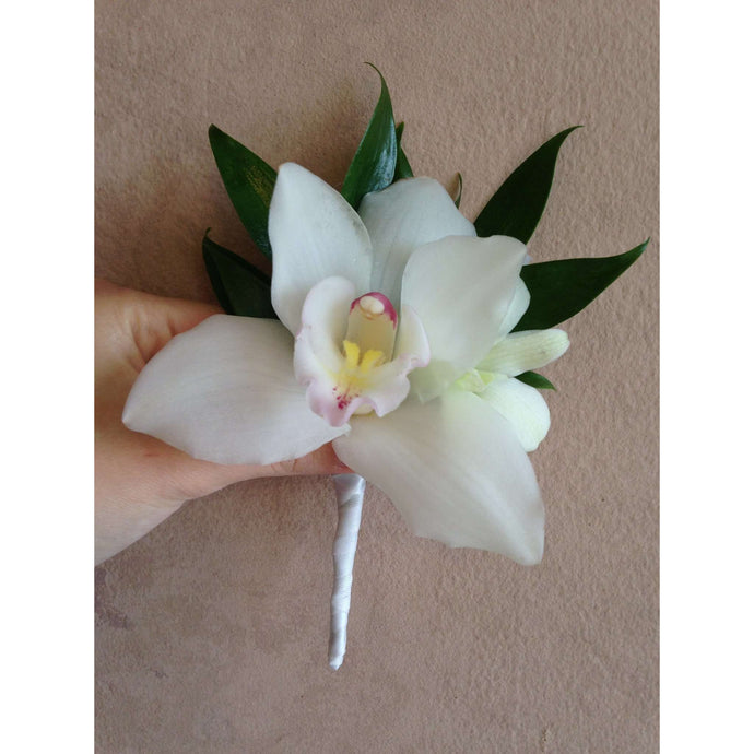 White Orchid Cymbidium BC