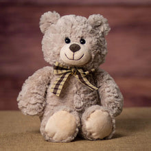 Load image into Gallery viewer, 13&quot; Country Bear Cuddle Bear
